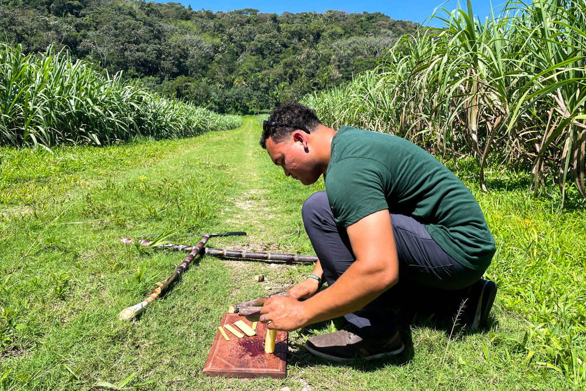 Travel Guide to Punta Gorda, Belize Fathom